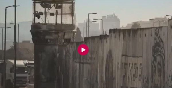 Genocidio Palestina