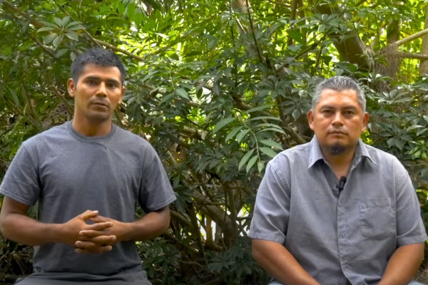 el-bosque_el-salvador