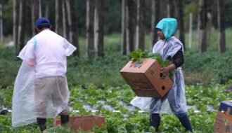Trabajadores migrantes