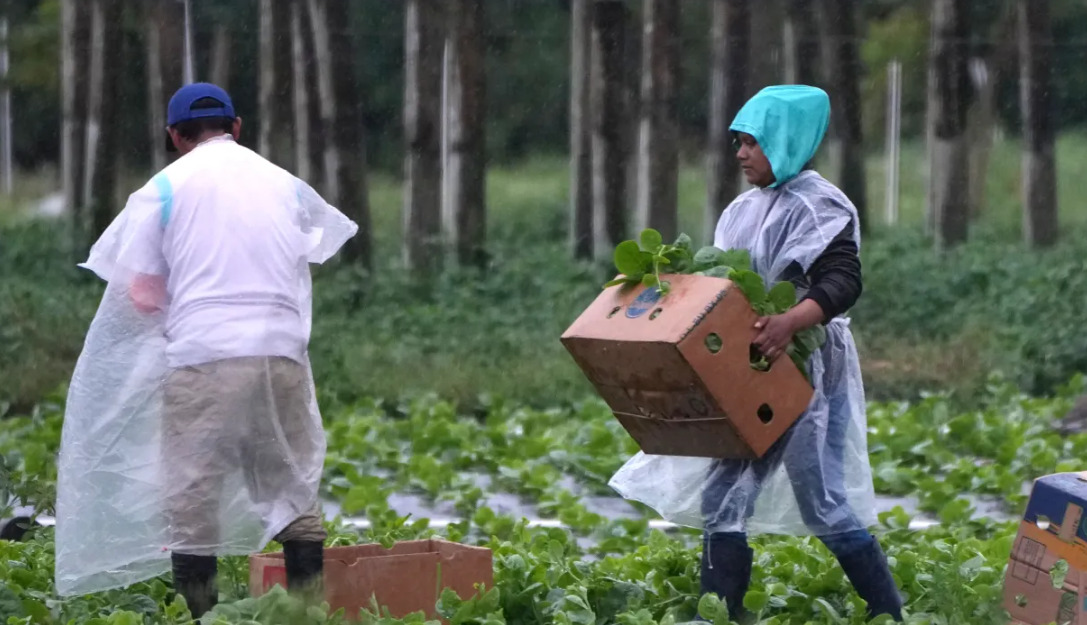 Trabajadores migrantes