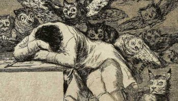 Goya razón