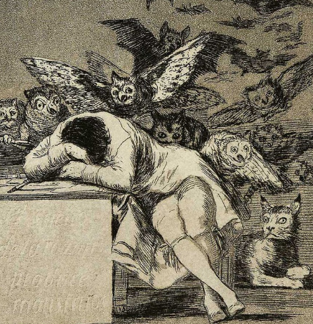 Goya razón